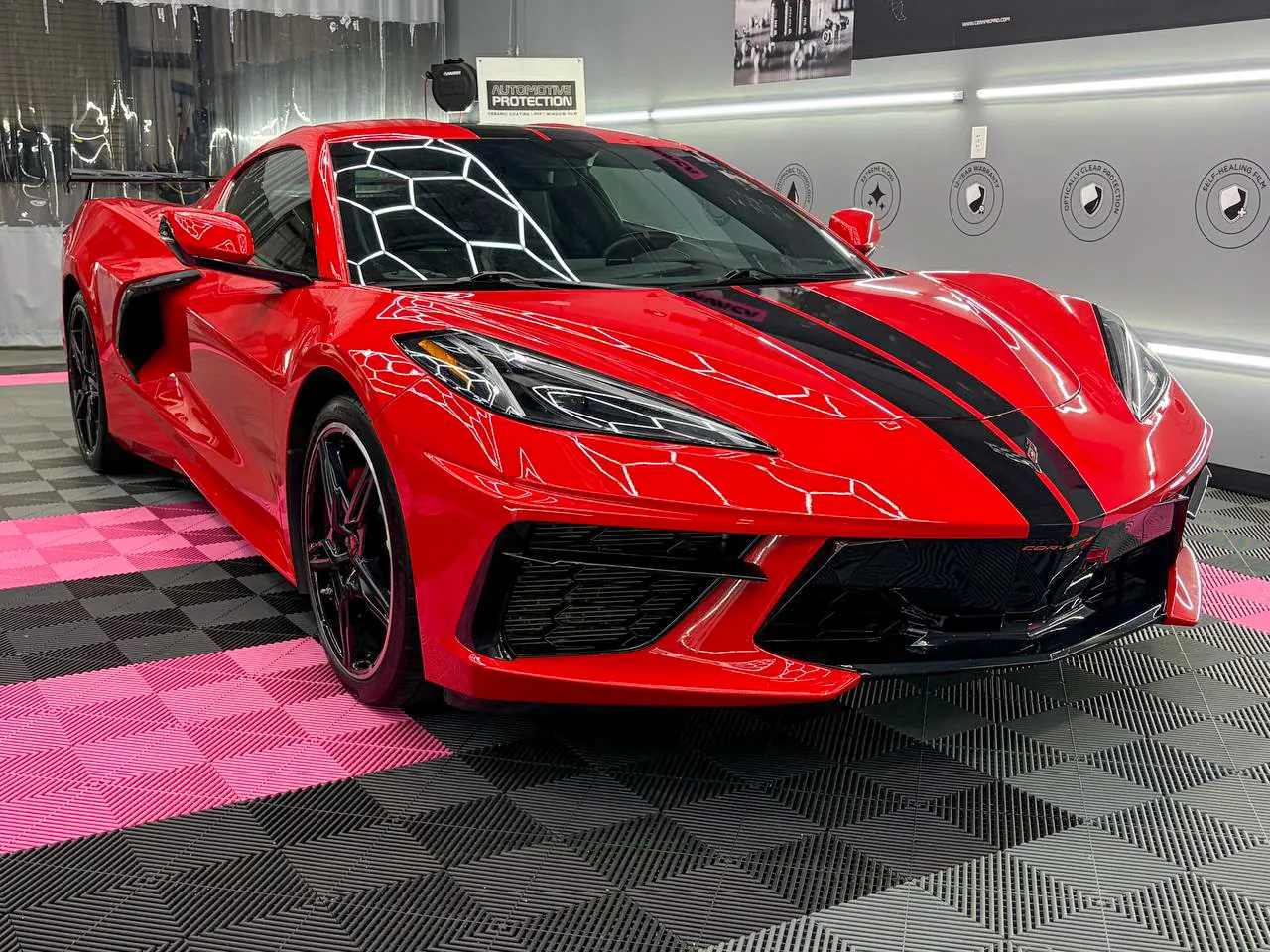 Front profile of Stella showing aggressive splitter, honeycomb grille, and black racing stripes